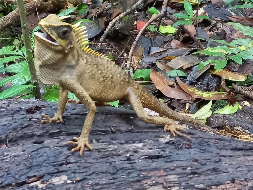 Trekking Cat Tien National Park 2 Days Itinerary